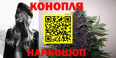 крисы Балаково