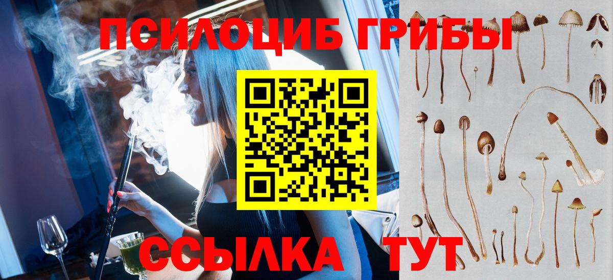Галлюциногенные грибы ЛСД  Вход с VPN  Гатчина 