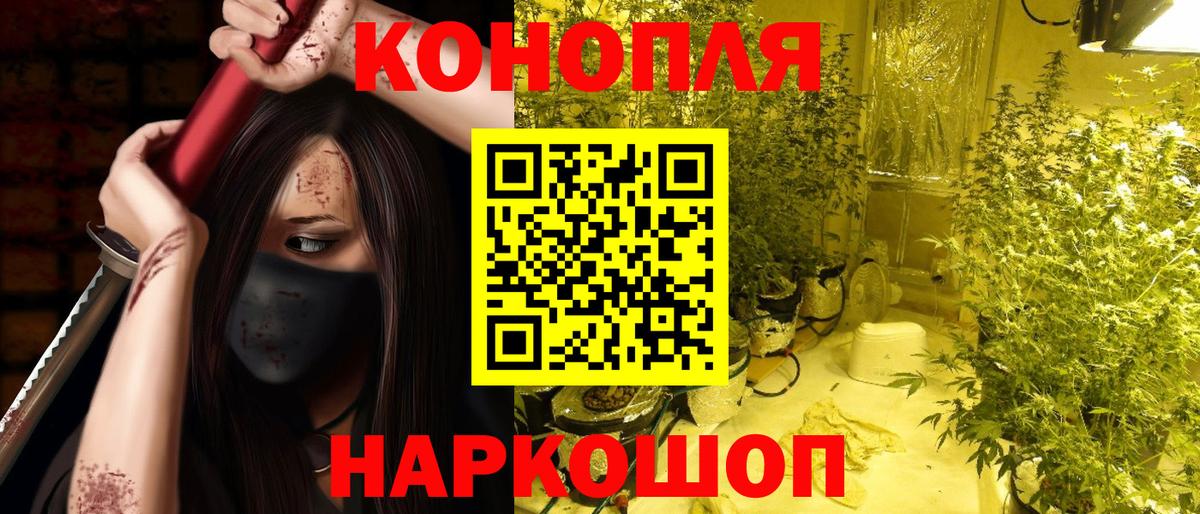 Бошки Шишки индика  Бошки Шишки сатива  Гатчина  Вход с VPN 